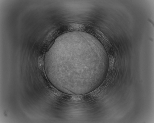 X0000091230701200709061519