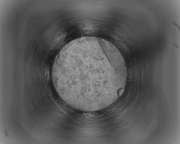 X0000091230703200709061519