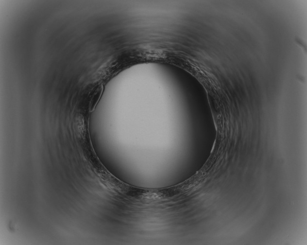 X0000091230704200709061519