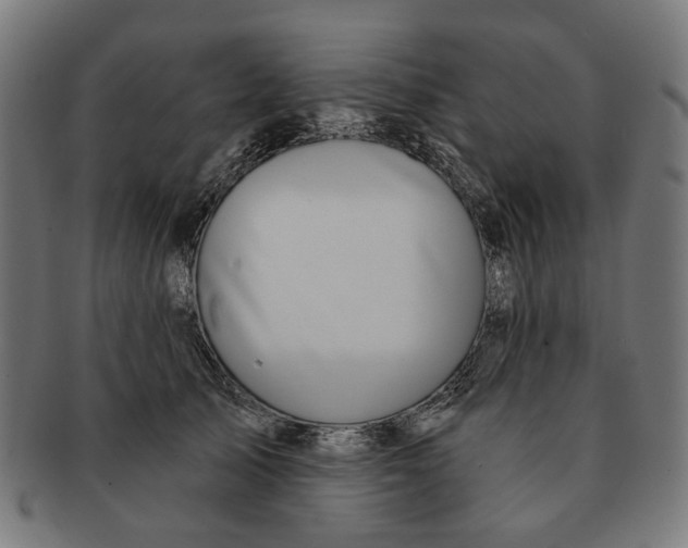 X0000091230705200709061519