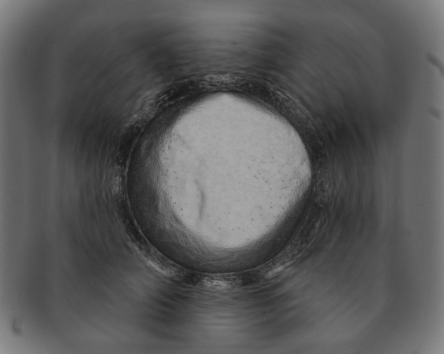 X0000091230706200709061519