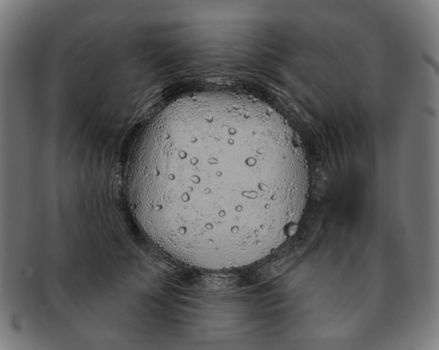 X0000091230707200709061519