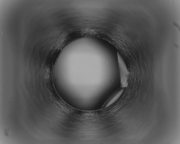 X0000091230708200709061519