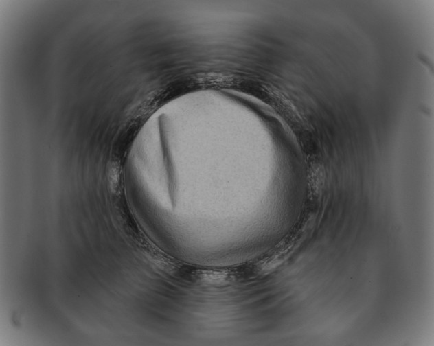 X0000091230709200709061519