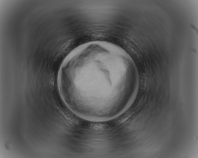 X0000091230710200709061519