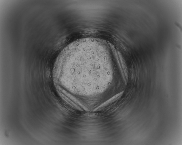 X0000091230711200709061519