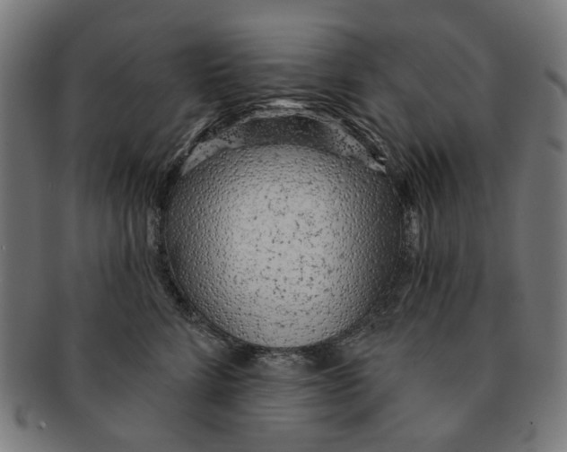 X0000091230712200709061519