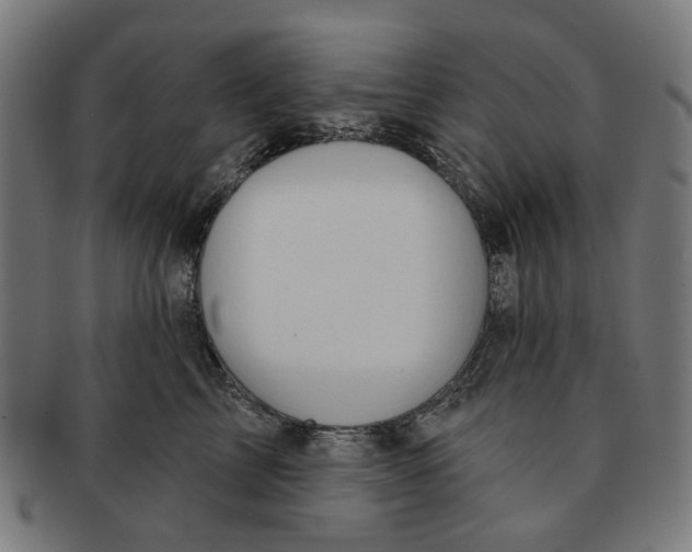 X0000091230713200709061519