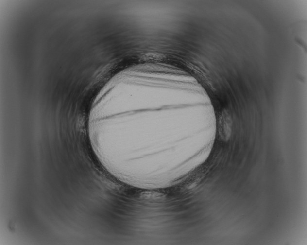 X0000091230714200709061519