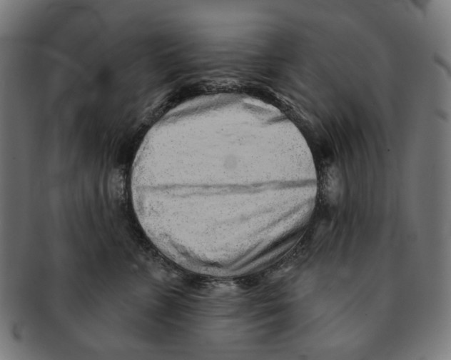 X0000091230715200709061519
