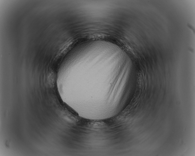 X0000091230716200709061519