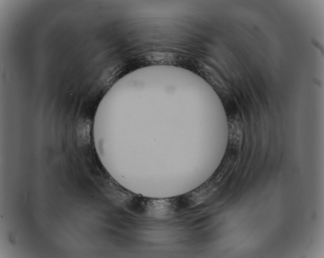 X0000091230717200709061519