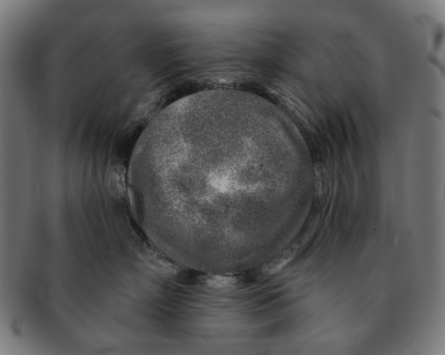 X0000091230718200709061519
