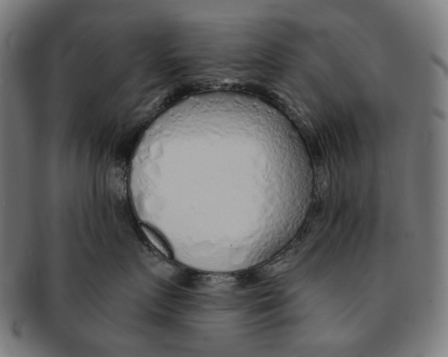 X0000091230719200709061519