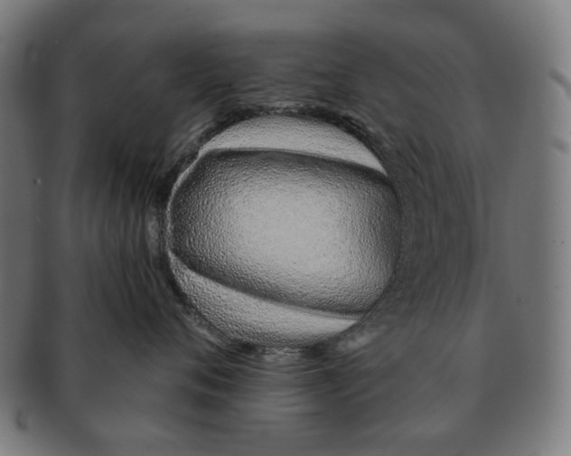 X0000091230720200709061519