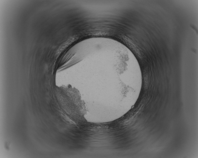 X0000091230721200709061518
