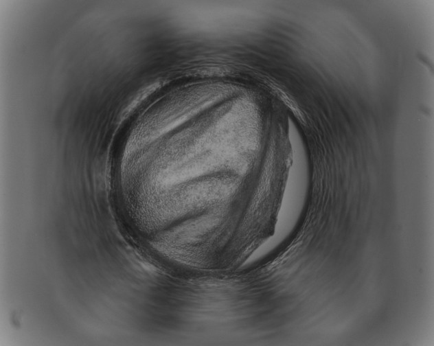 X0000091230722200709061518