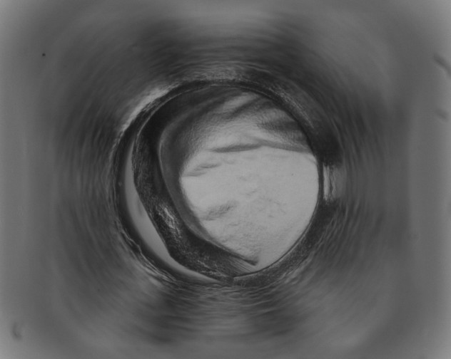 X0000091230723200709061518