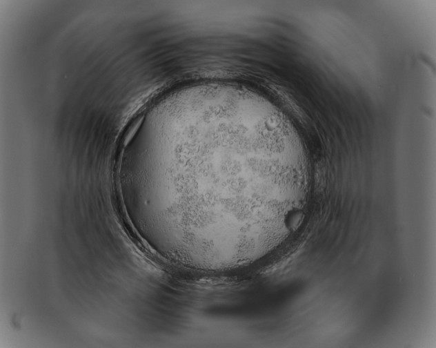 X0000091230725200709061518