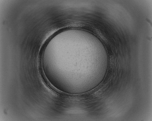X0000091230726200709061518
