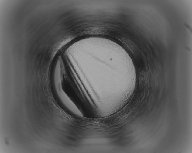 X0000091230727200709061518