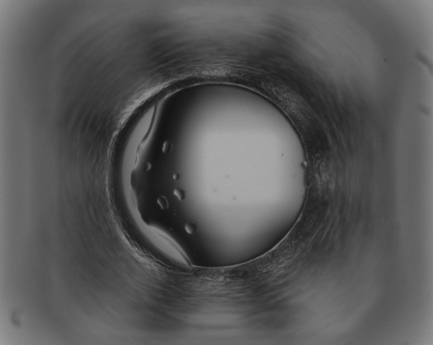 X0000091230728200709061519
