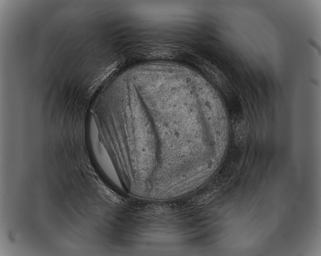 X0000091230729200709061519