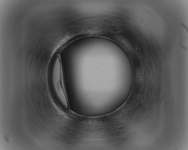 X0000091230730200709061519