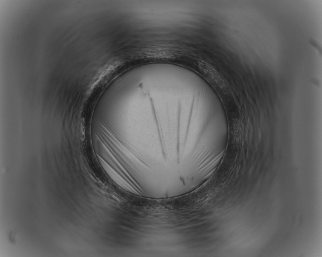 X0000091230731200709061519