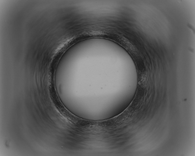 X0000091230732200709061519