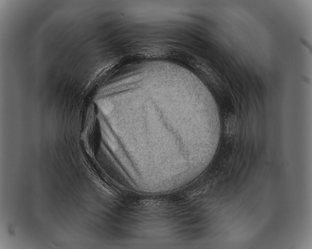 X0000091230733200709061519