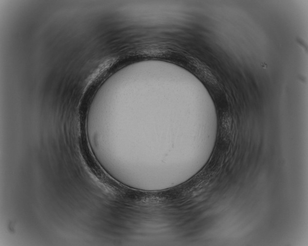 X0000091230734200709061519