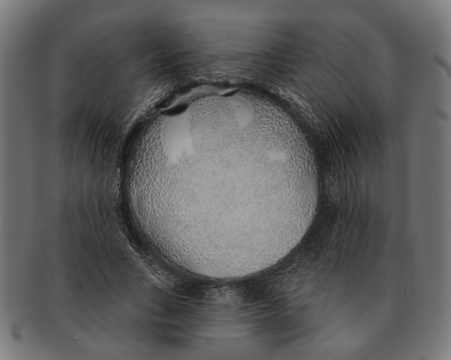 X0000091230735200709061519