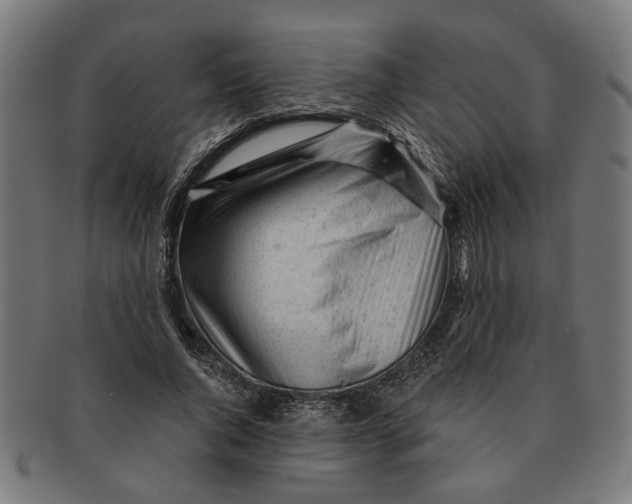 X0000091230736200709061519