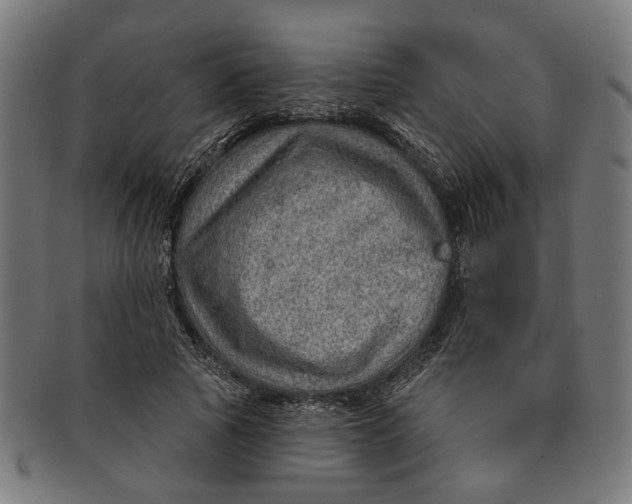 X0000091230737200709061519