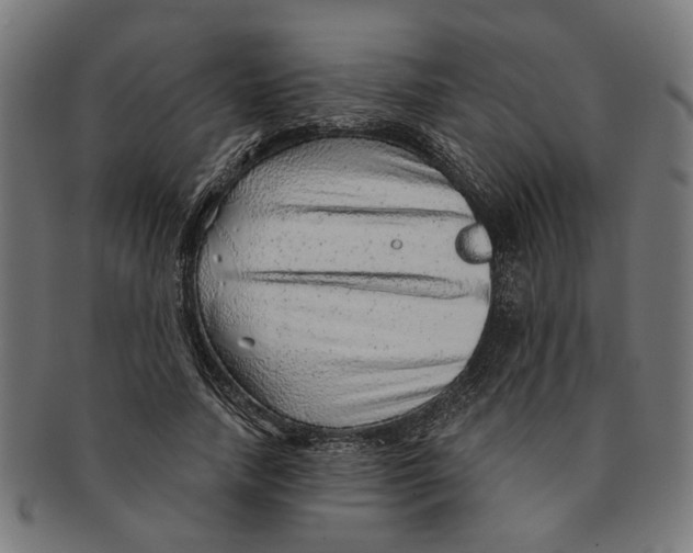 X0000091230738200709061519