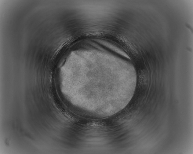 X0000091230739200709061519