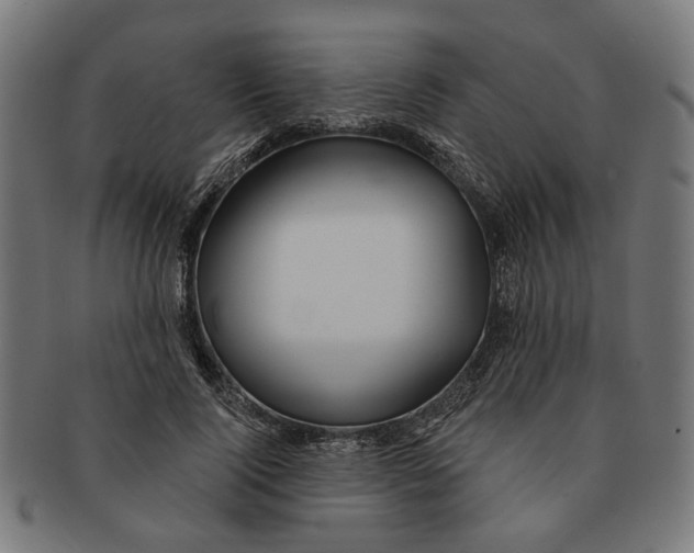 X0000091230740200709061519