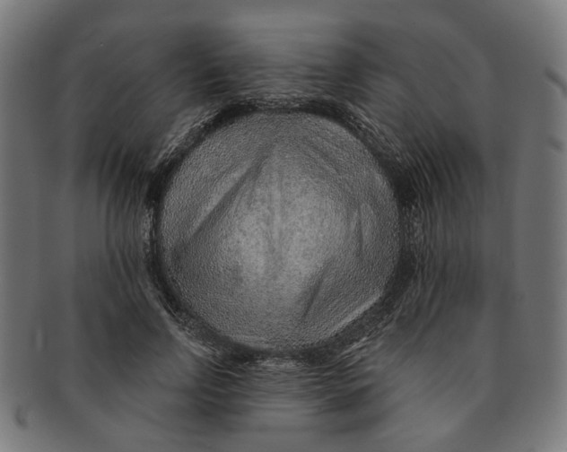 X0000091230742200709061519