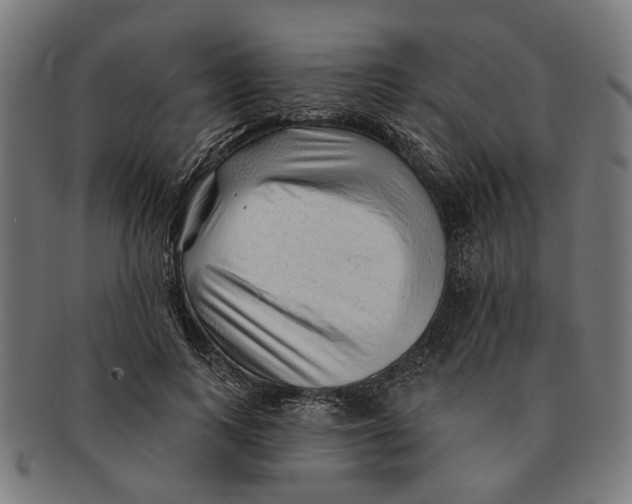 X0000091230743200709061519