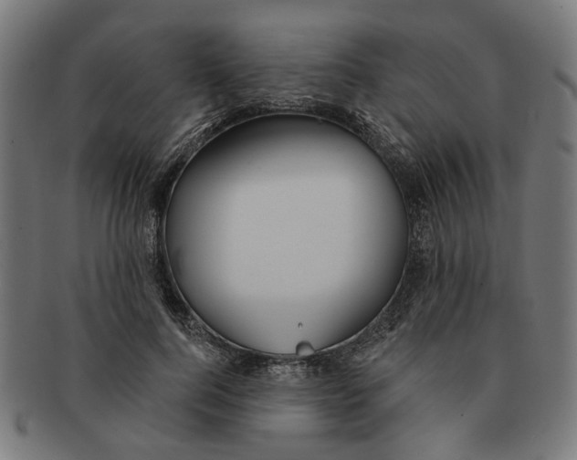 X0000091230744200709061519