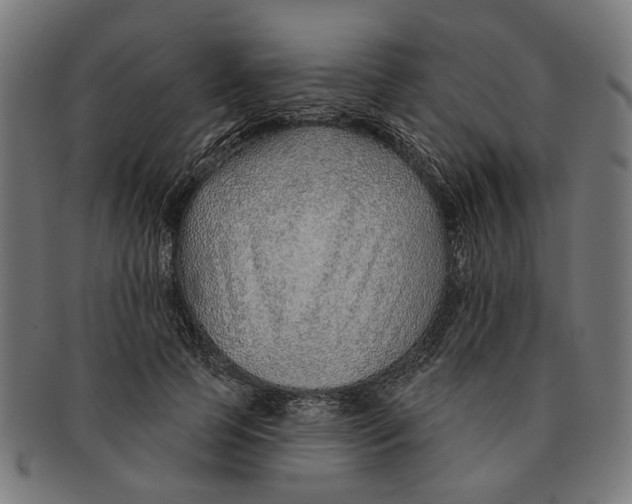 X0000091230745200709061519