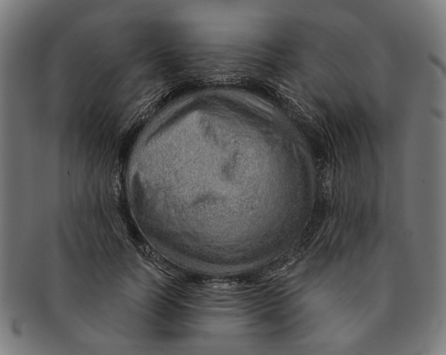 X0000091230746200709061519