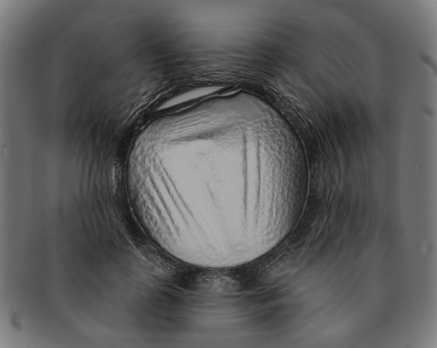 X0000091230747200709061519