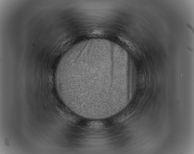 X0000091230749200709061519
