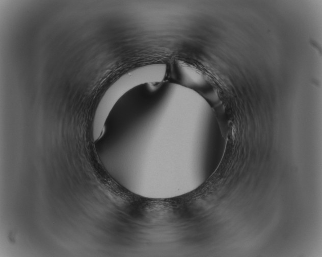 X0000091230750200709061519