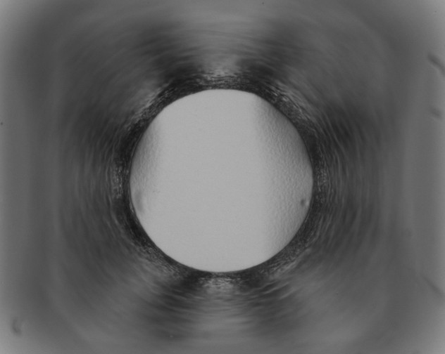 X0000091230751200709061519