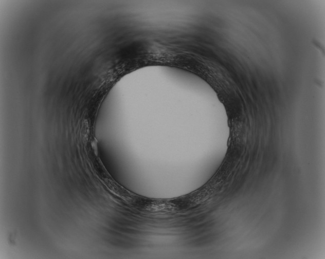 X0000091230752200709061519