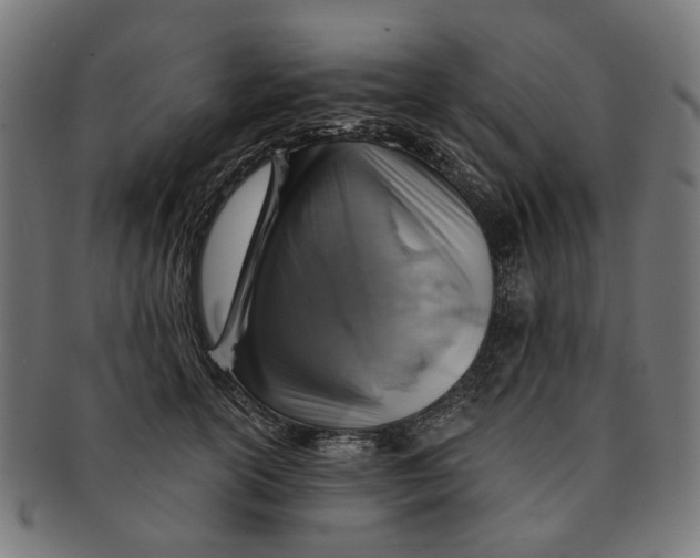 X0000091230754200709061519