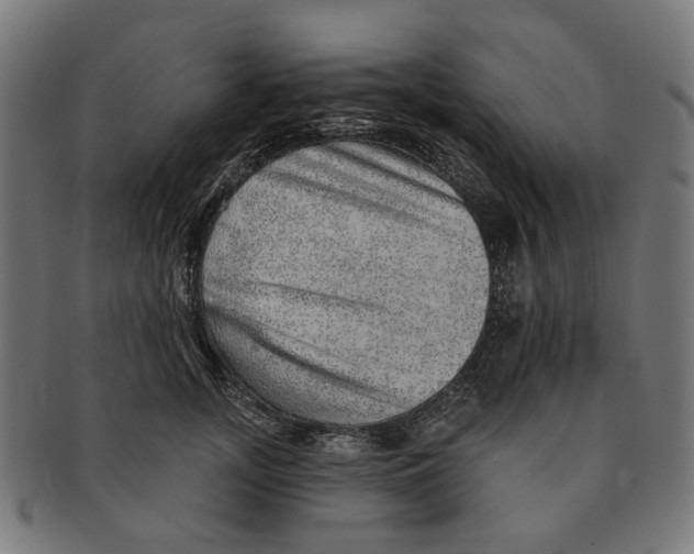 X0000091230755200709061519